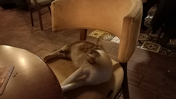 Şuna bakar mısınız ya...: )