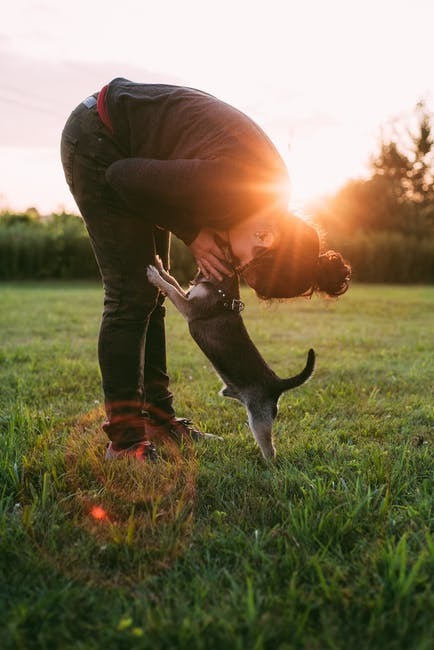 Kedi ve köpekleri öperek seviyor musunuz?