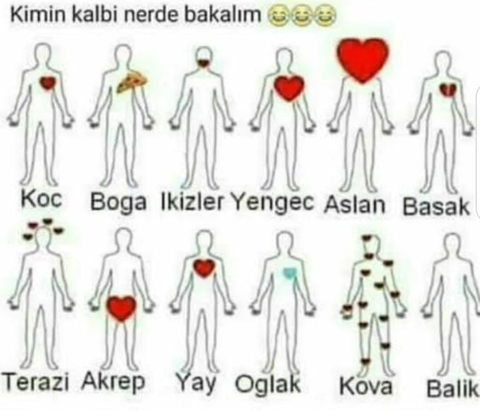 Boğa seven kizcelere duyrulur...
