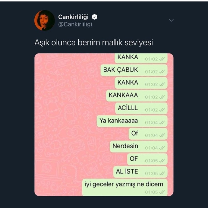 Aşık olunca mantığınız devre dışı mı kalıyor yoksa hâlâ zehir gibi mi oluyorsunuz?