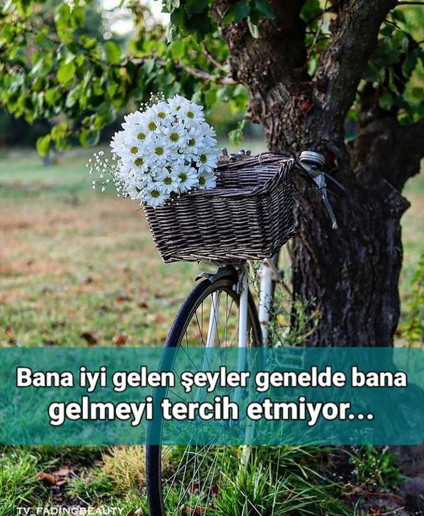 Sizmi gidersiniz, gelmesinimi beklersiniz?