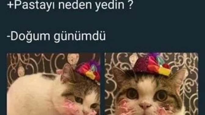 Doğum gününüz ne zaman 🎉🎂?
