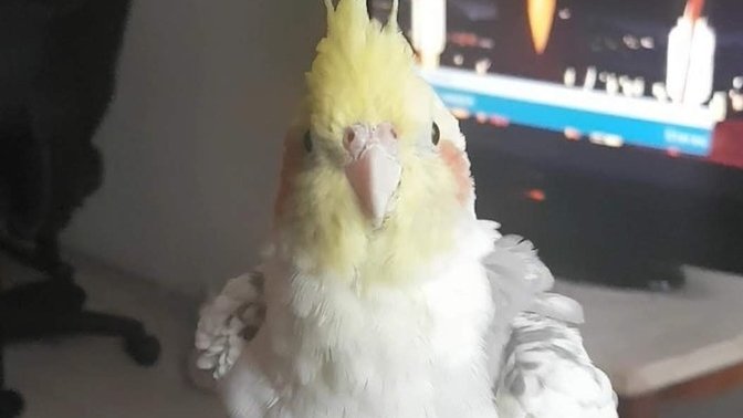 Her markete girdiğinizde aldığınız bir ürün var mı?