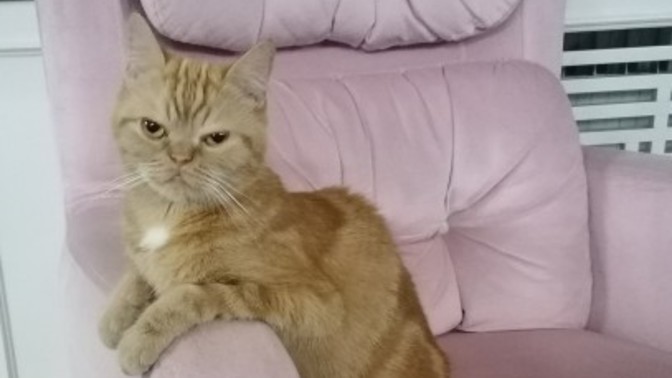 Size iyi veya kötü davranan insanlara karşı tavrınız ne oluyor?