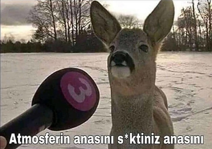 Mental sağlığınız bir görsel olsaydı ne olurdu?