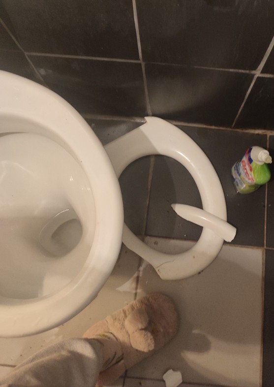 Arkadaşım tuvaletimi kırdı, parasını istesem ayıp olur mu?
