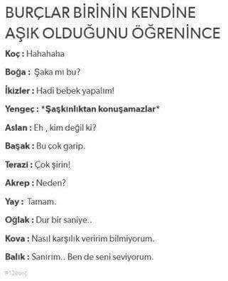 İkizler insanı hakkında düşünceleriniz ne?