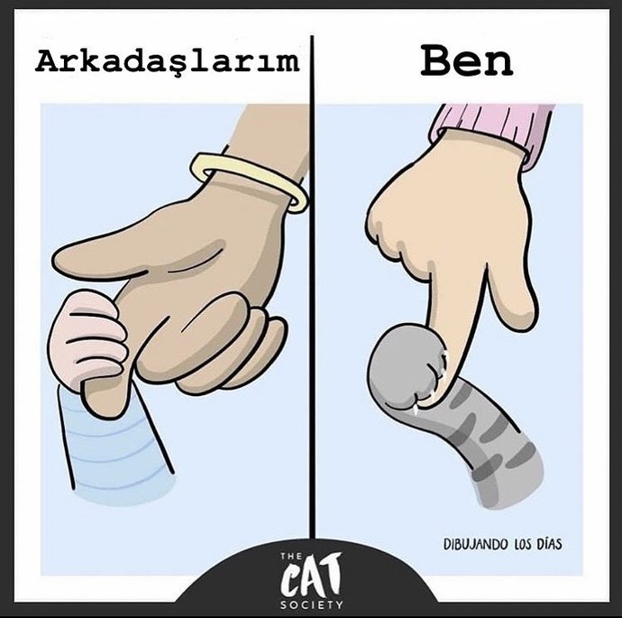 Kedili, mutlu huzurluyum. 🦁
