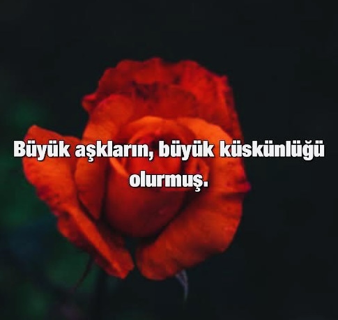 Küstüğün biri var mı? Neden küstünüz?