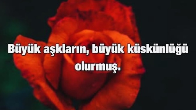 Küstüğün biri var mı? Neden küstünüz?