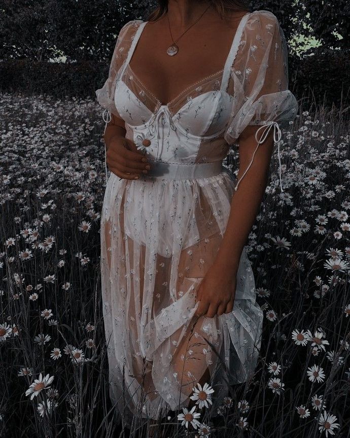 ✨