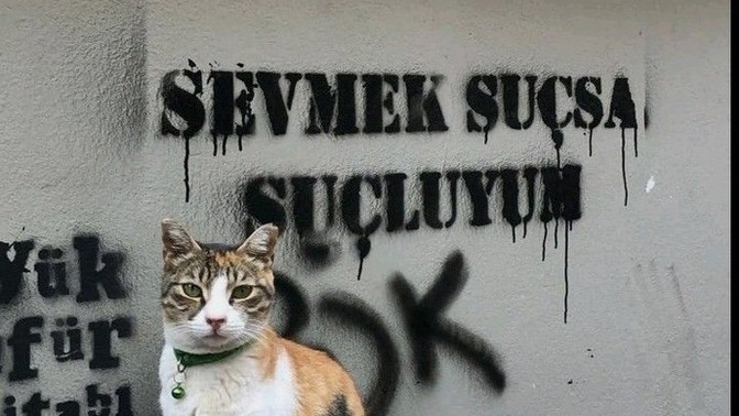 Çok sinirliyim ne yapmalıyım 😡?