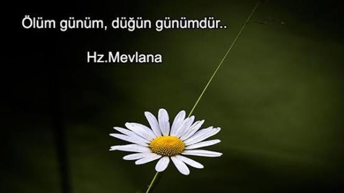 İnsana hayatı boyunca en çok acı çektiren işkence nedir?
