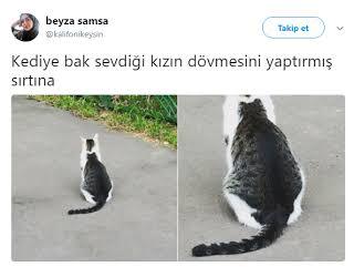 Kedinizin ya da köpeğinizin patisinin dövmesini yaptırır mıydınız?