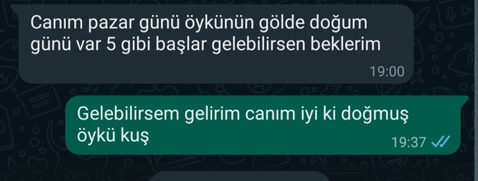Arkadaşlarım çoluk çocuğa karışmışken ben hala kedi/köpek besliyorum 🤤 Evlilik için geç mi kaldım?