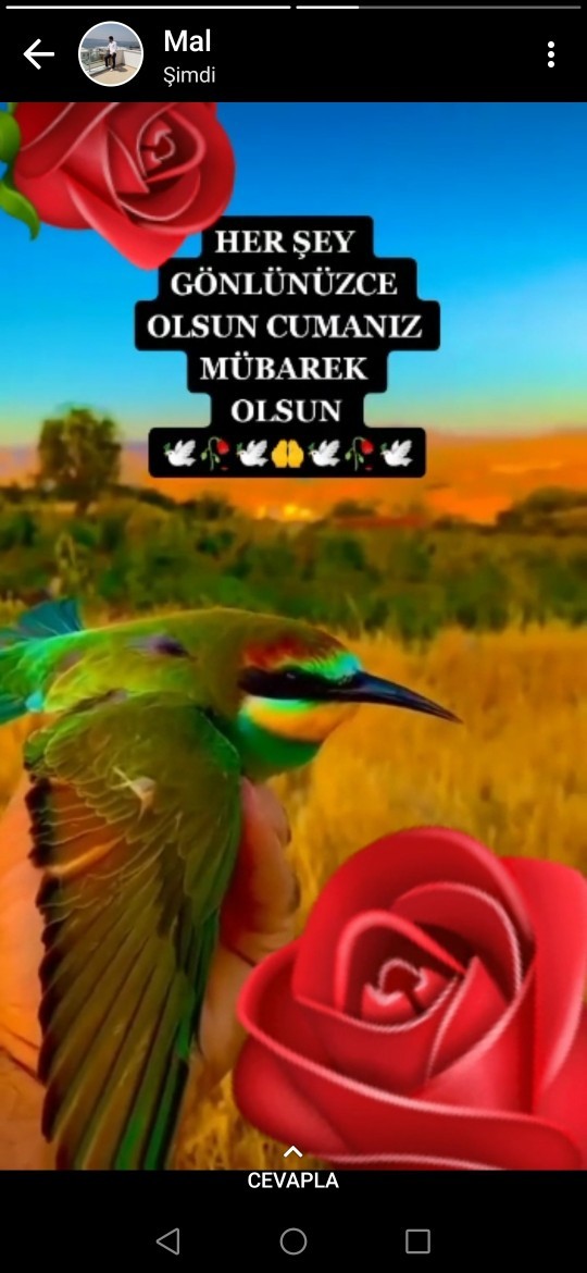 Dalga geçer gibi mi oldu sizce?