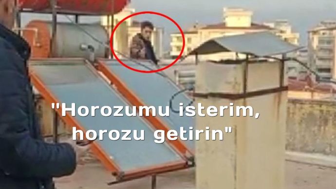Babasının, horozunu satmasına kızan 17 yaşındaki genç, intihara kalkıştı! Başına gelse tepkin ne olurdu?