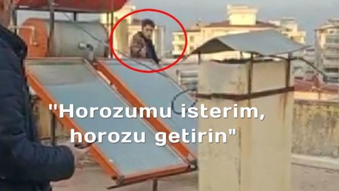 Babasının, horozunu satmasına kızan 17 yaşındaki genç, intihara kalkıştı! Başına gelse tepkin ne olurdu?