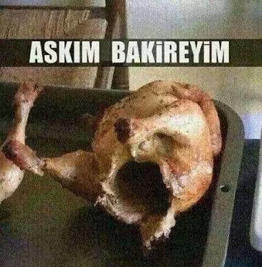 Özet bu