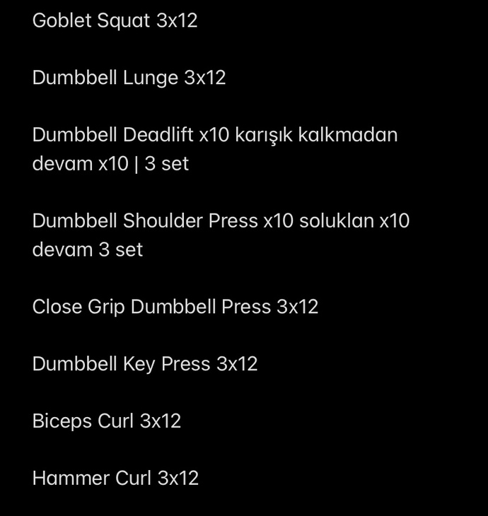 Salona gidemediğimde evde yapmak için bu program iyi mi sizce?