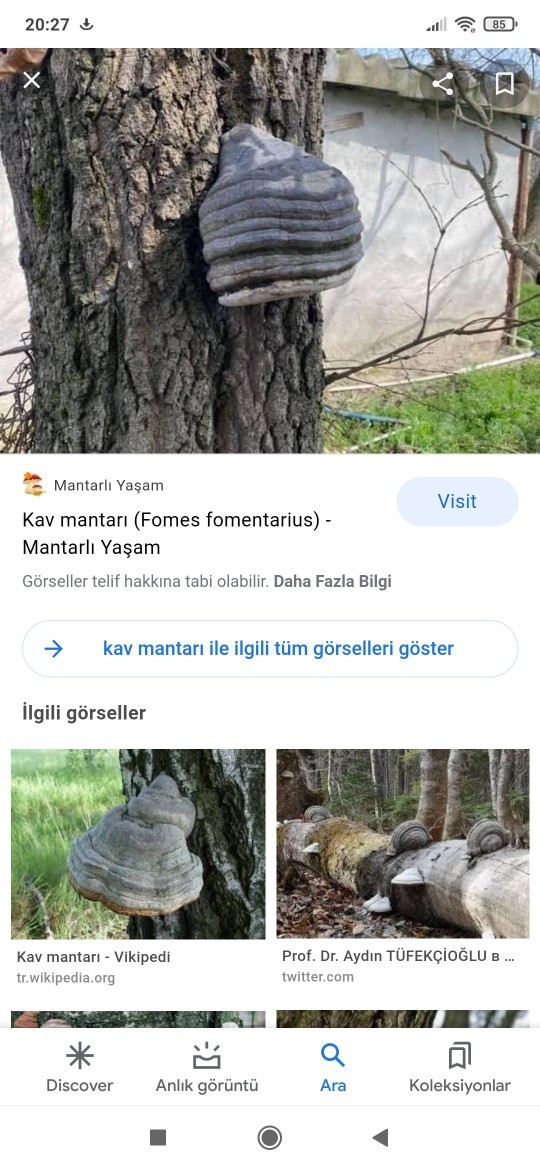 Kendi dünyamıza yabancı olduğumuzu düşünüyor musunuz?