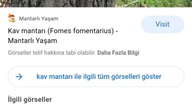 Kendi dünyamıza yabancı olduğumuzu düşünüyor musunuz?
