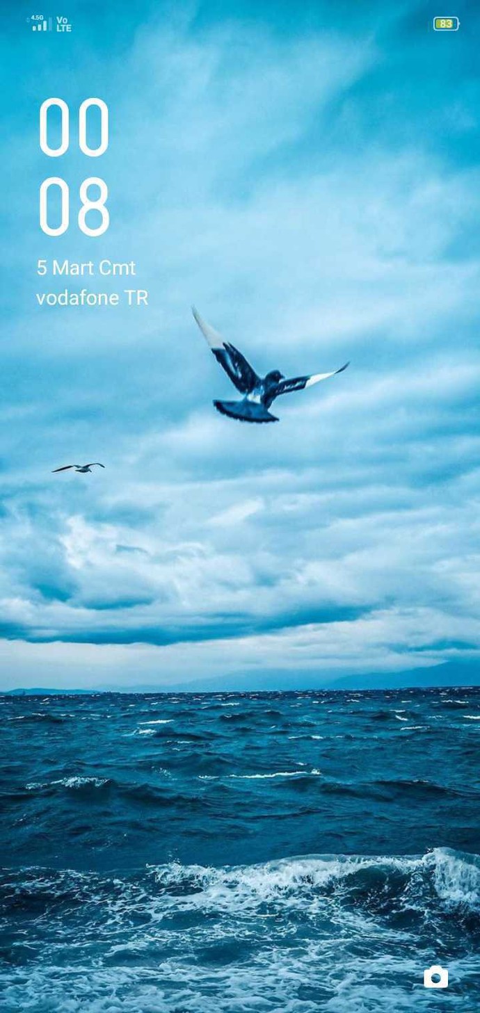 Telefonunuzun ekranında nasıl bir duvar kağıdı var?