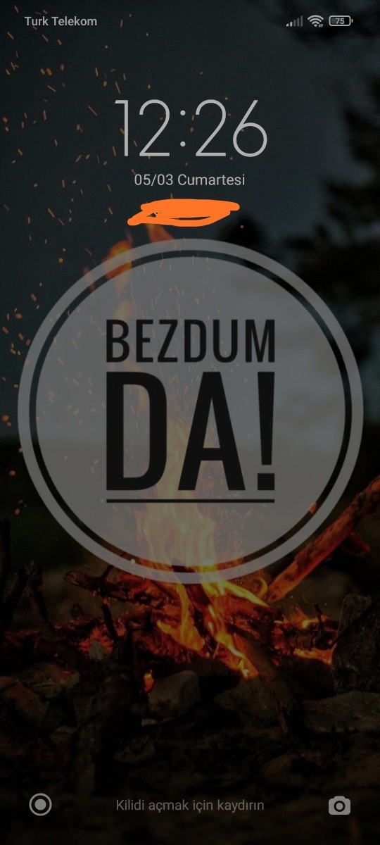Telefonunuzun ekranında nasıl bir duvar kağıdı var?