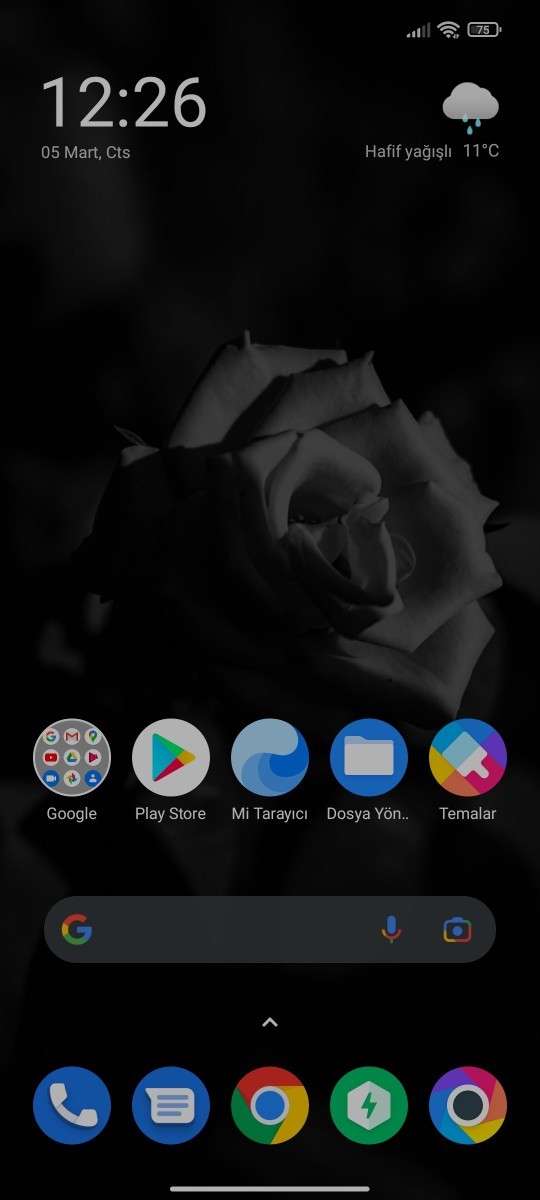 Telefonunuzun ekranında nasıl bir duvar kağıdı var?