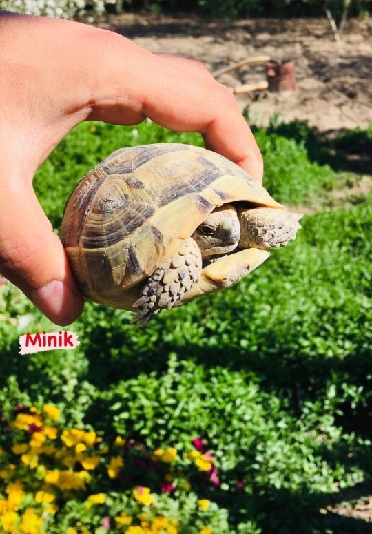 Hiç bu kadar yakından gördünüz mü?