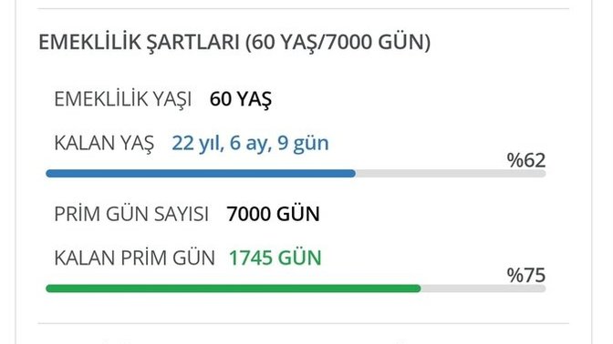 Ne zaman emekli olacaksınız?