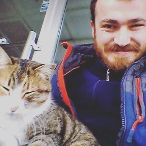 Kendinize hangi hayvanı yakın buluyorsunuz?