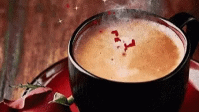 En çok hangi kahve çeşidini seviyorsunuz ☕ ?