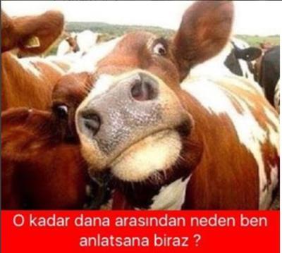 Düşününce bulacaksın.