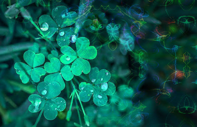 ☘️☘️
