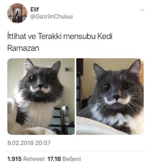 Kendi kendinize eğlenebiliyor musunuz?
