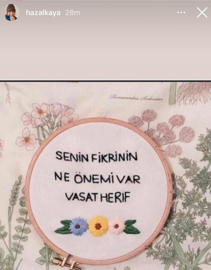 Hazal Kayadan oyunculuğuna laf söyleyen Ahmet Hakana cevap gecikmedi. Oyuncu olsanız eleştirilere cevap verir misiniz?
