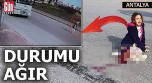 Belediyeler sokak köpeklerine çözüm bulamıyor mu?