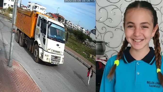 Belediyeler sokak köpeklerine çözüm bulamıyor mu?