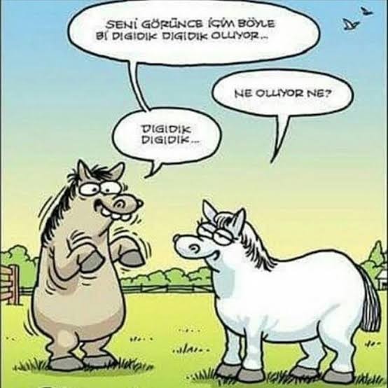 Evlenmek mi 🤔 Evlenmemek mi?