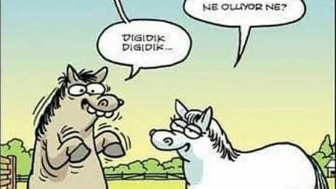Evlenmek mi 🤔 Evlenmemek mi?