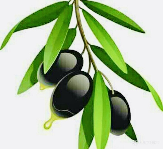 ♥️Zeytin ve zeytinyağı şifadır 🫒 