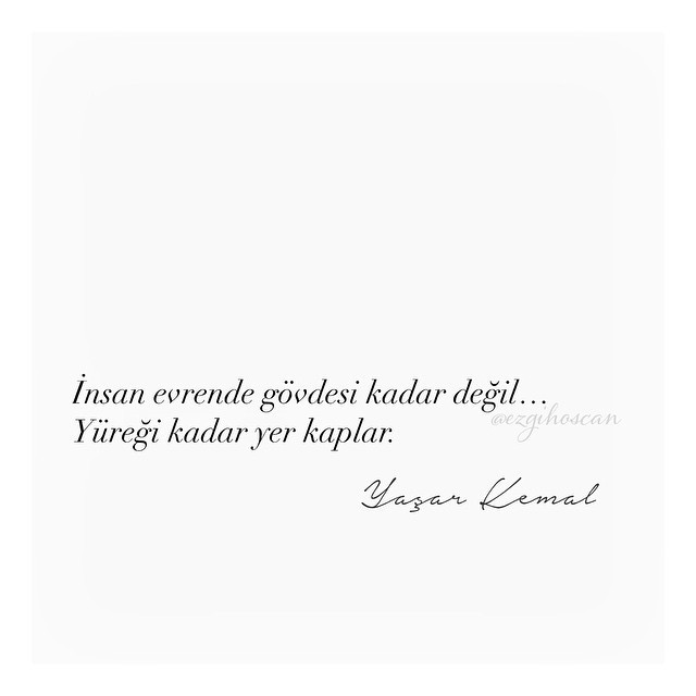 Sizce yüreğiniz ne kadar yer kaplıyordur?