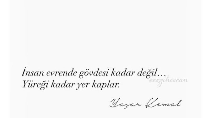 Sizce yüreğiniz ne kadar yer kaplıyordur?