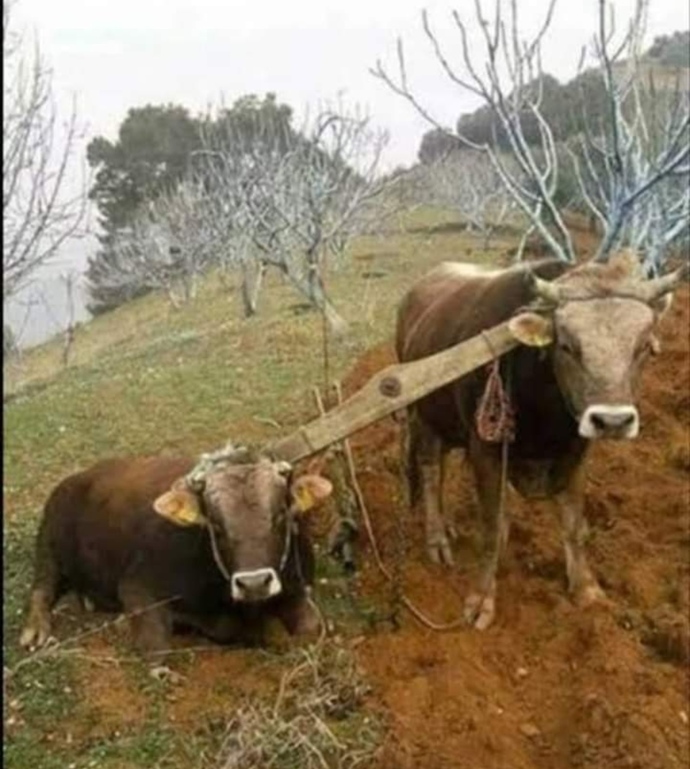 - hayattan yana, çöken misin, ayakta kalan mısın ?