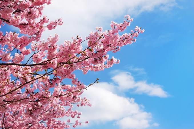 8 Mart Dünya Kadınlar Günü mesajları için örneklerinizi yazar mısınız?