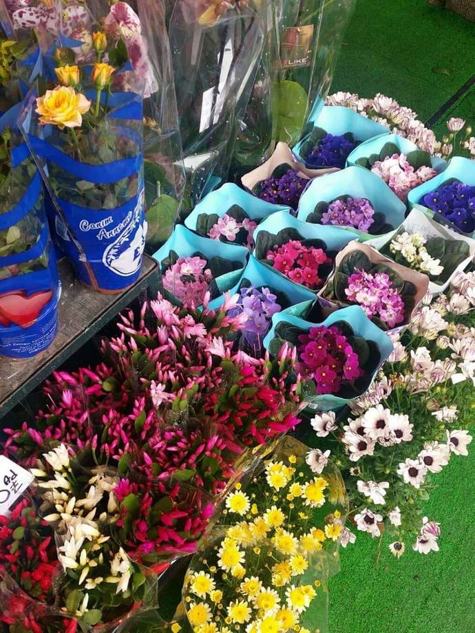 Bahara geçiş yaptınız mı yoksa hala kışı mı yaşıyorsunuz?