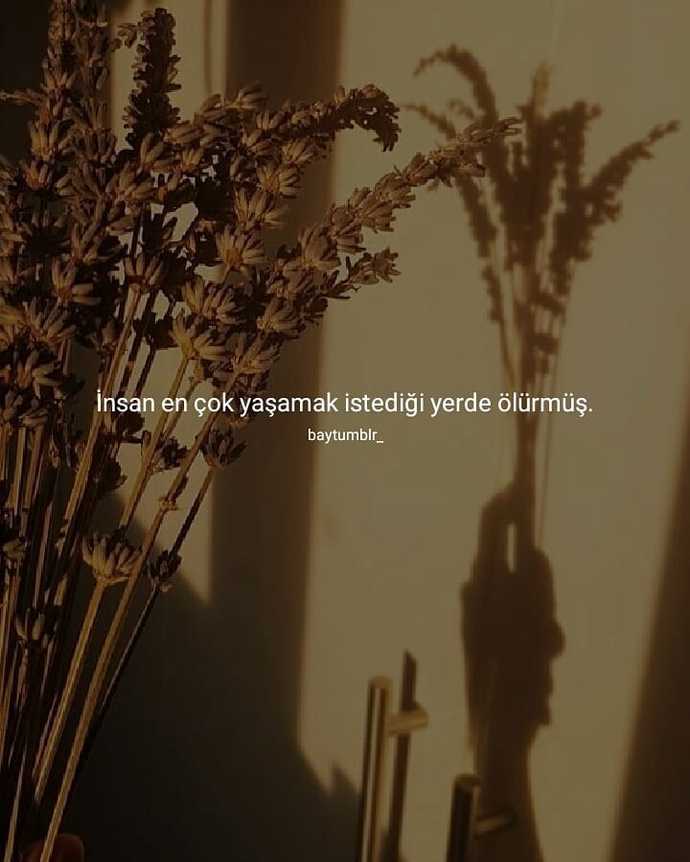 Çok sevdiğin birini hafızandan nasıl silersin?