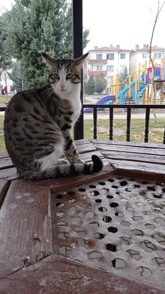 Bu bebeğin adı ne olsun?