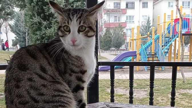 Bu bebeğin adı ne olsun?